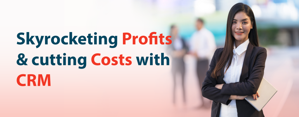Achieve skyrocketing profits and cost savings with CRM implementation in fintech.